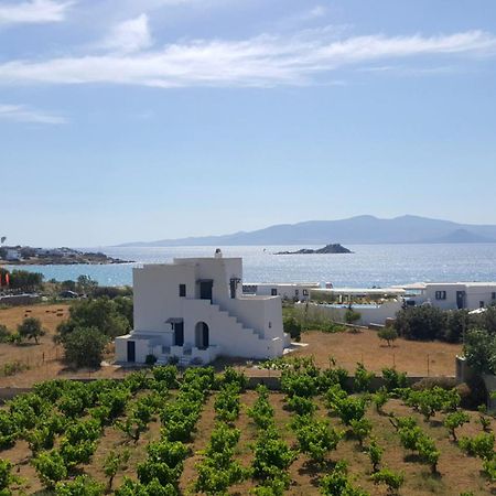 Matina Naxos - Mikri Vigla Casa de hóspedes Quarto foto