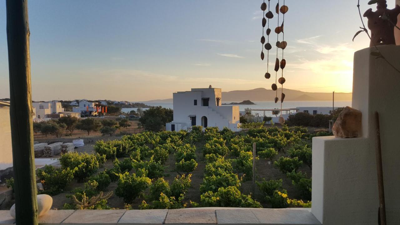 Matina Naxos - Mikri Vigla Casa de hóspedes Quarto foto